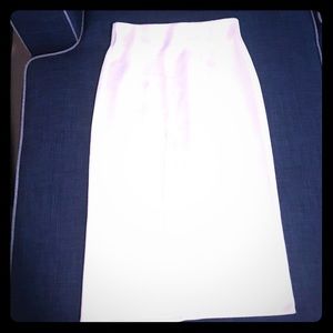 Zara Pencil Skirt